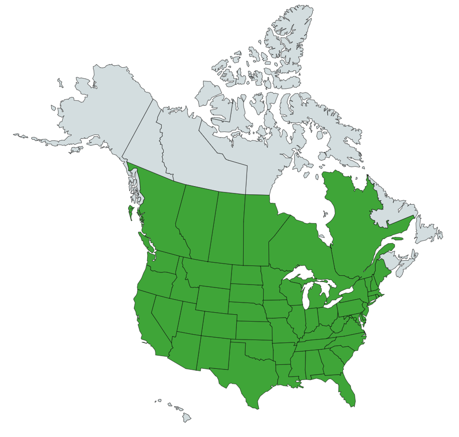 SupportStates.PNG